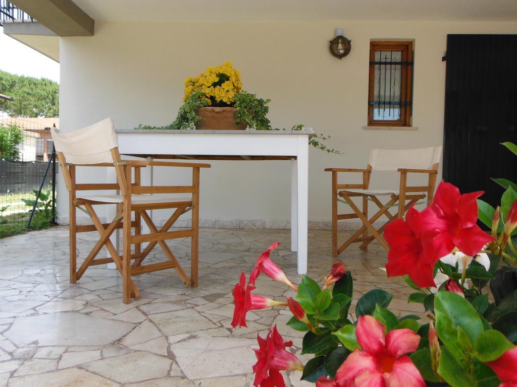 La Casa Di Nila Apartment ปิซา ภายนอก รูปภาพ