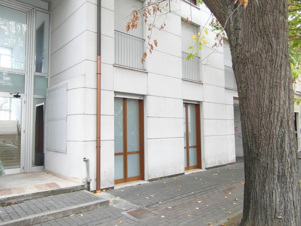 La Casa Di Nila Apartment ปิซา ภายนอก รูปภาพ