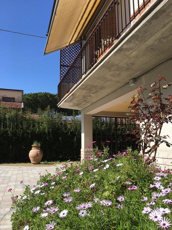 La Casa Di Nila Apartment ปิซา ภายนอก รูปภาพ